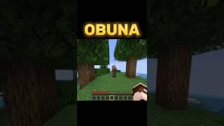QAYSI BIRI #shorts #minecraft #artifact #qishloqi #kayzo #heker #ukiko