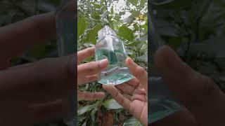 LEYA & LENORA 🩵#perfume #shorts  #smellsgood #smellamazing #smellyourbest #shortvideo#shortsvideo 🩵
