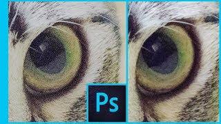 Photoshop CC | Quitar el ruido a una imagen (sin plugins) | Tutorial Español