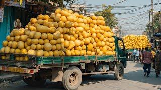 The Secret Behind Harvesting Thousands Of Tons Of Fruit – A Look Inside Texas Farms | Us Farmers