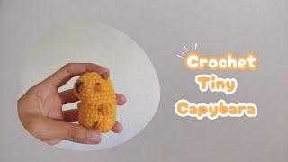 Tiny capybara crochet easy for beginner