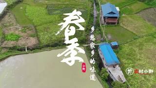 春天的农村太舒服了，一片绿油油的风景，这地方太安逸了