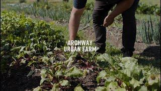 Taste of Abby - Archway Urban Farm