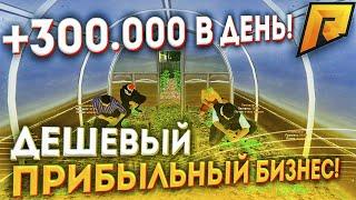 ОГОРОД! САМЫЙ ПРИБЫЛЬНЫЙ И ДЕШЕВЫЙ БИЗНЕС! (CRMP | RADMIR)