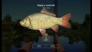 Russian Fishing 4 Шаманский бубен работает