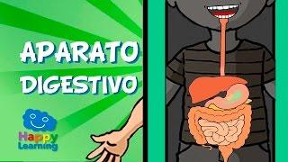 El Aparato Digestivo y la Digestión | Videos para Niños