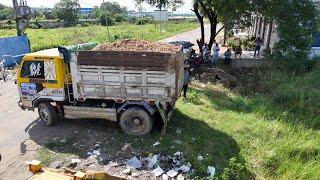 Just New activity.! Best Use! Dump Trucks 5T And KOMATSU Dozer filling Flooded land Next to the road