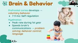 Infancy: Brain Development