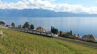 Trafic ferroviaire dans le Lavaux