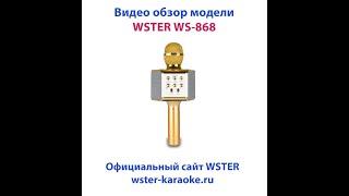 WSTER WS-868 - Караоке микрофон - Обзор модели