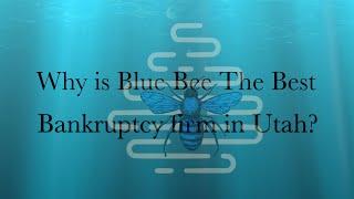 Why Blue Bee Bankruptcy Law is the Best Bankruptcy Law Firm in Utah