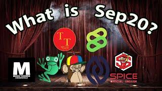 What is SEP20? A quick guide on an easy starting token group.