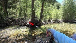 Amazing small creek brook TROUT with a 2wt rod! - McFly Angler Episode 51