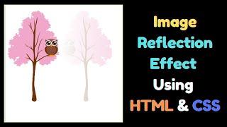 Add Image Reflection Effect using Html & CSS