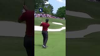 Which Tiger Woods shot is BEST?? ‍️