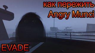 EVADE как пережить Angry Munci