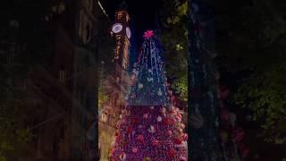 Must See Christmas Events in Sydney: Full Guide (Free to Visit) 