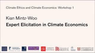 Kian Mintz-Woo - Expert Elicitation in Climate Economics