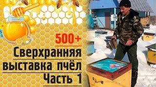 500+ Сверхранняя выставка пчёл. Часть 1.