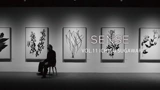 【SENSE】VOL.11 菅原一剛 Ichigo Sugawara