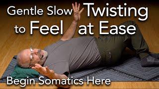 Simple, Gentle Slow TWISTING Somatics to feel at EASE