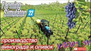 Farming Simulator 22 Производство винограда и оливок