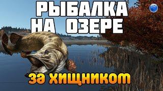 РЫБАЛКА на озере. Спиннинг для щуки, донка на налима - Fisher Online