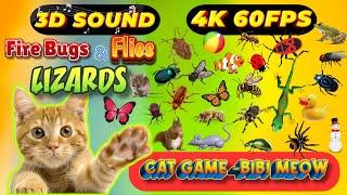 CAT GAMES BiBi TV | Ultimate Cat TV Compilation SPECIAL VOLUME #103 | 3 HOURS | Game On Screen