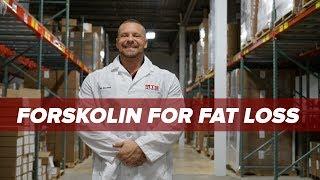 Forskolin For Fat Loss - A Best Kept Secret? | Tiger Fitness