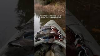 Anyone else?  #duckhunting #woodduck #hunting #outdoors #fueledbynature #woodies #shorts