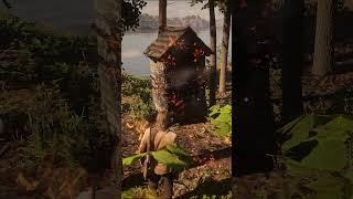 Gertrude Braithwaite - Can you destroy her Outhouse with a Molotov cocktail? #shorts #rdr2 (