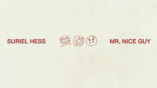 Suriel Hess - Mr. Nice Guy (Official Audio)