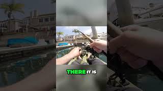 Secret trick catches fish!