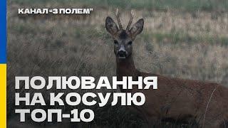 Полювання на косулю - постріли! ТОП-10