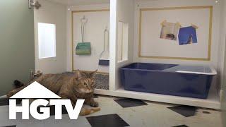 How to Hide a Cat Litter Box | HGTV