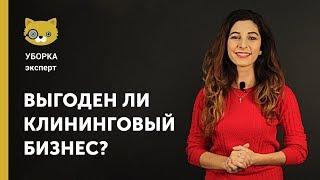 Выгоден ли клининговый бизнес? Советы по открытию.