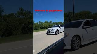 40 roll #camaro #supersport #holden #racing #cars #shorts #chevrolet #perfromance #gap