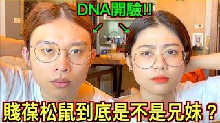 【破解身世之謎!!】花兩萬做ＤＮＡ親子鑑定！賤葆松鼠到底是不是兄妹！？