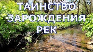 ТАИНСТВО ЗАРОЖДЕНИЯ РЕК Пять истоков: Свислочи, Ислочи, Птичи, Уши и Западной Березины