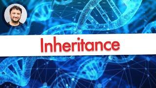 PHP OOP Inheritance