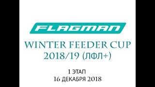 Winter Feeder Cup 2018/19 (ЛФЛ+) 1 этап /// ProSportFishingTeam