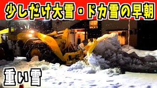 速報 2024-12-24【早朝除雪車】はい！ドカ雪？大雪？来ました！少しだけど　Snow Removal