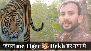 जंगल में Tiger  Dekh डर गया  #vlog #viral #youtube #akramulnawabofficial