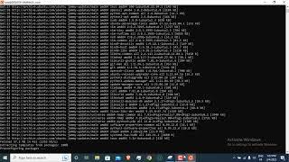 how to update and upgrade packages in WSL ubuntu