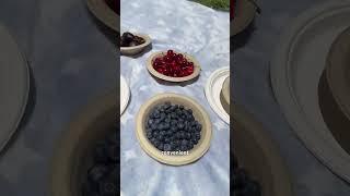 Eco-Friendly Picnic Ideas | Enjoy Outdoor Fun with Compostable Tableware