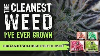 Organics Alive Innovative Fertilizer technology designed to produce the highest quality Cannabis