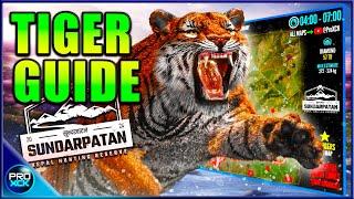 Bengal Tiger Guide! | How to hunt Tigers on Sundarpatan - theHunter Call of the Wild