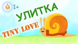 #Tiny #Love улитка Мультфильм#ТиниЛав Улитка