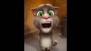 talking tom farting cat