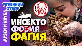 Съедобные насекомые. Есть или не есть? Игорь Фадеев